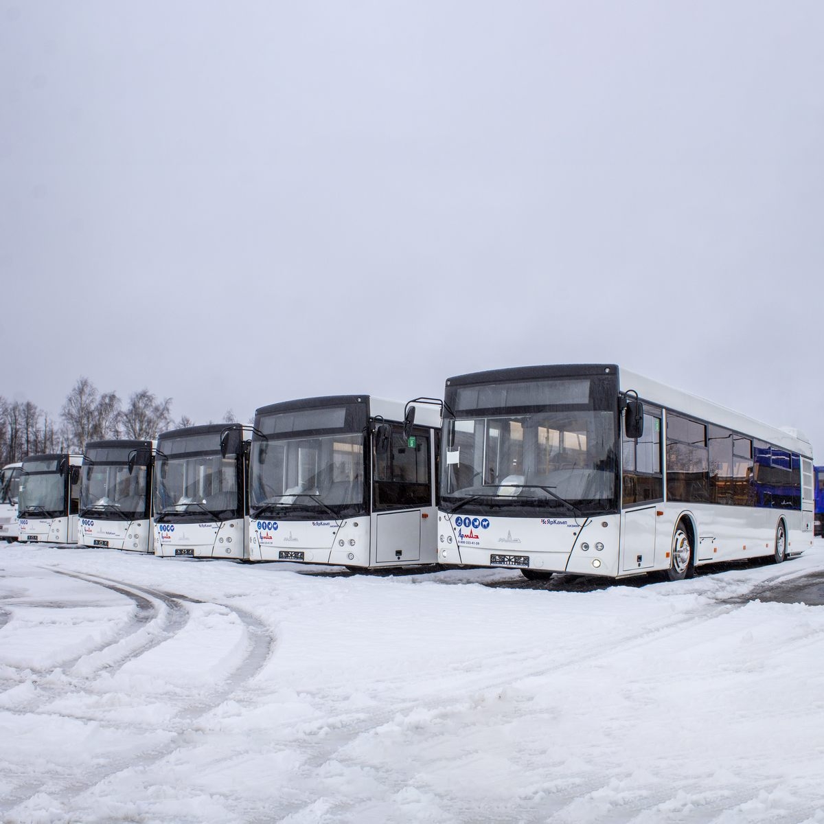 Автобусы МАЗ 203015 - официальный дилер ЯрМАЗ